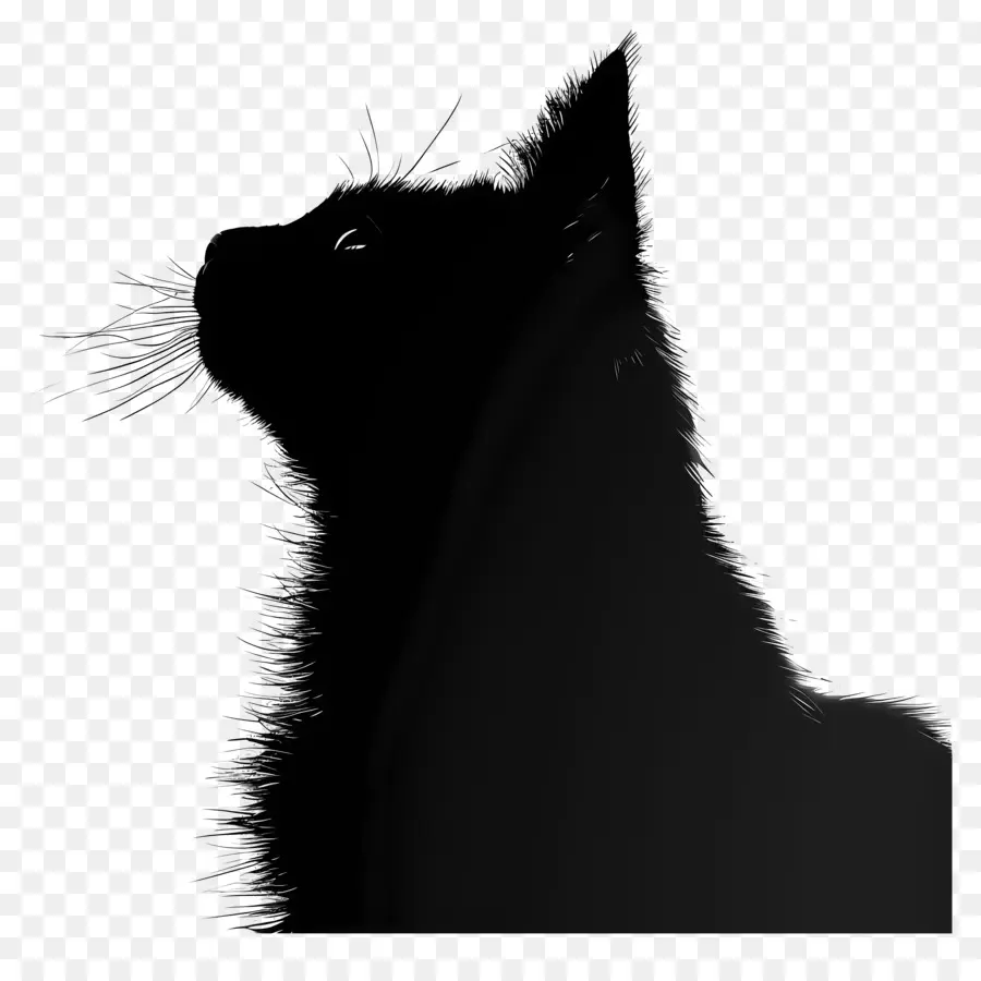 Silueta De Gato，Gato Negro PNG