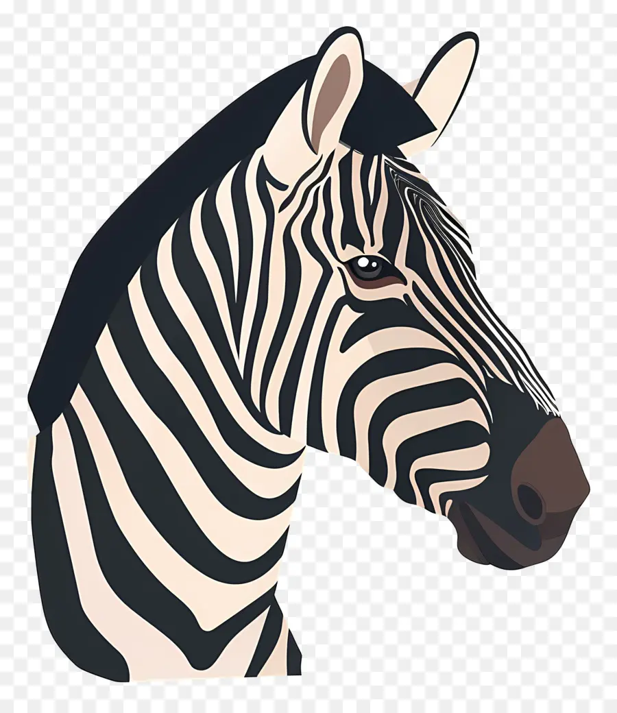 La Cabeza Zebra，Cebra PNG