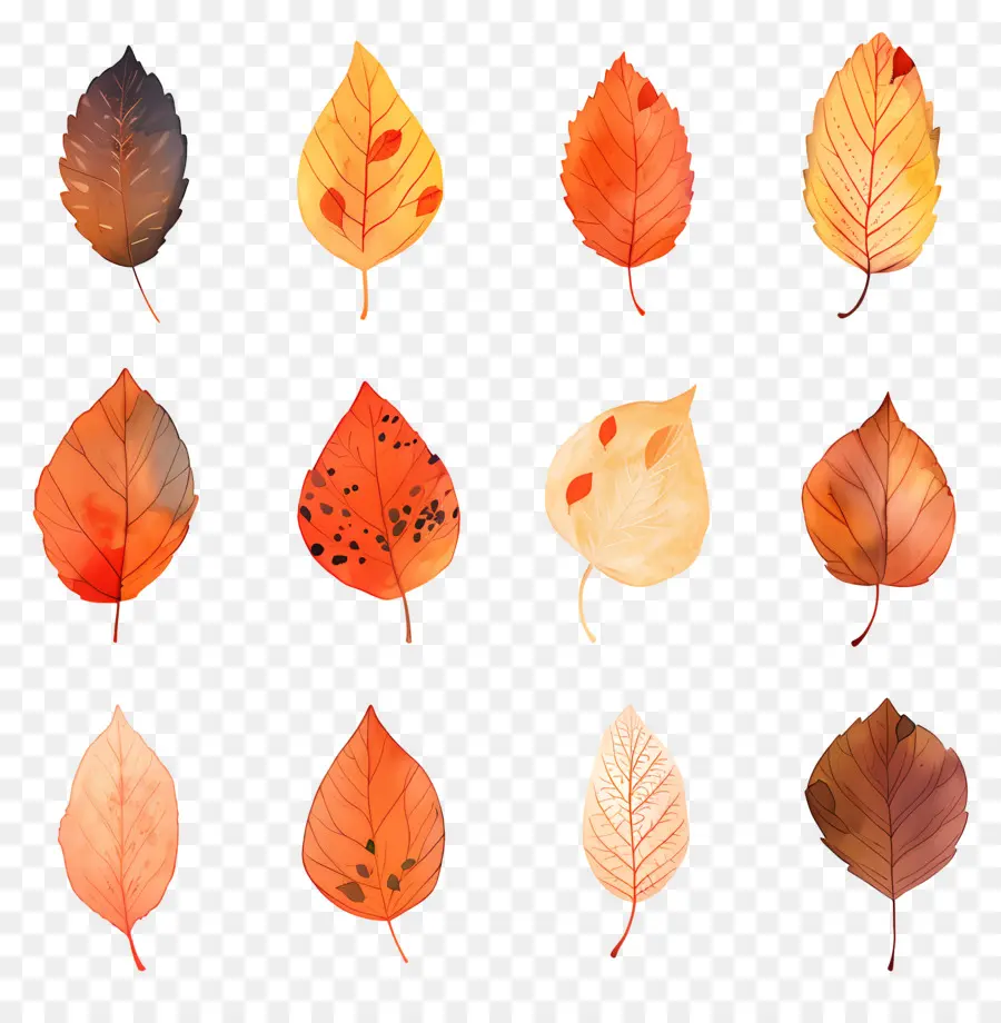 Autumn Leaves，Pinturas Acuarela PNG