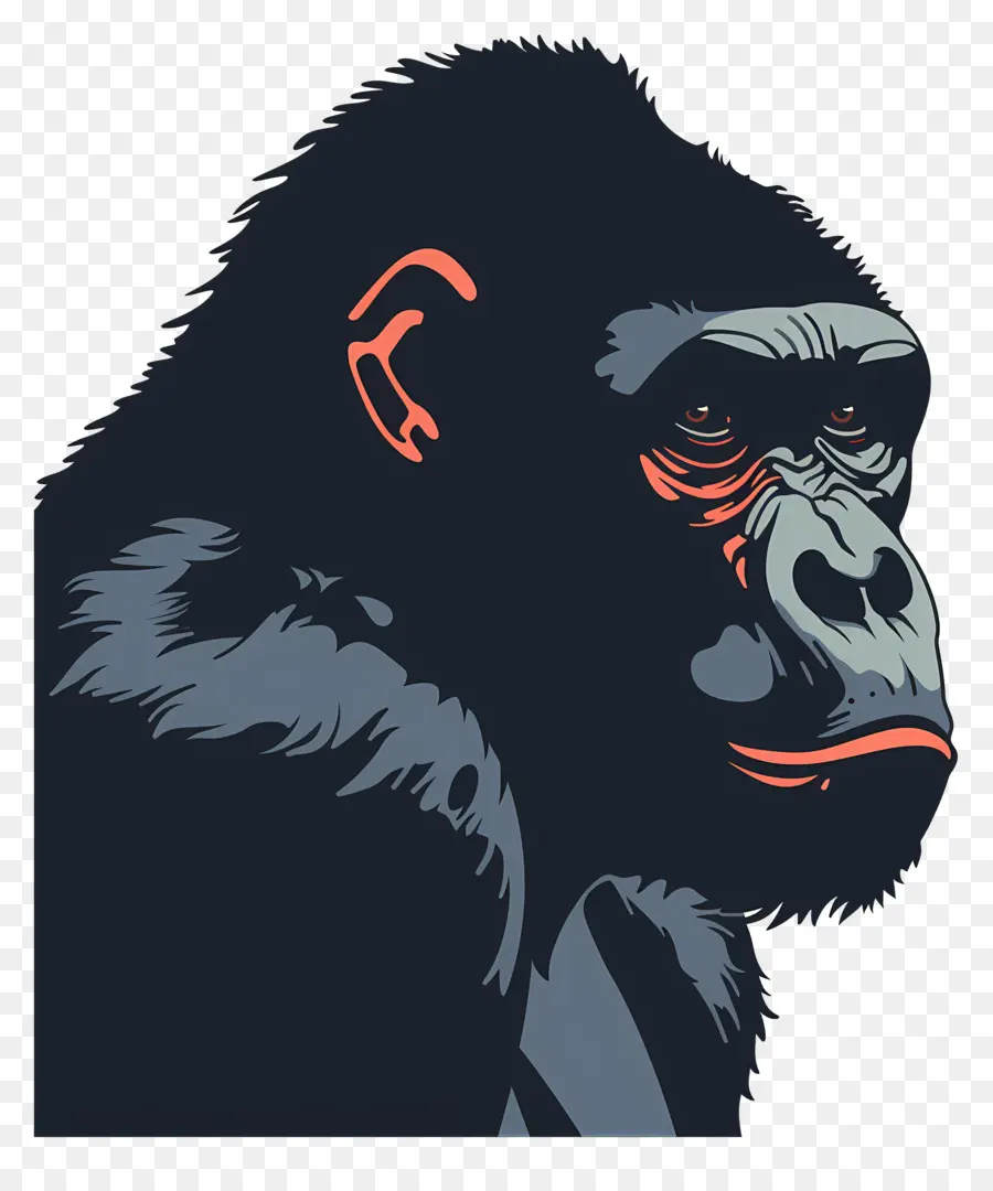 Dibujos Animados De Gorila，Gorila PNG