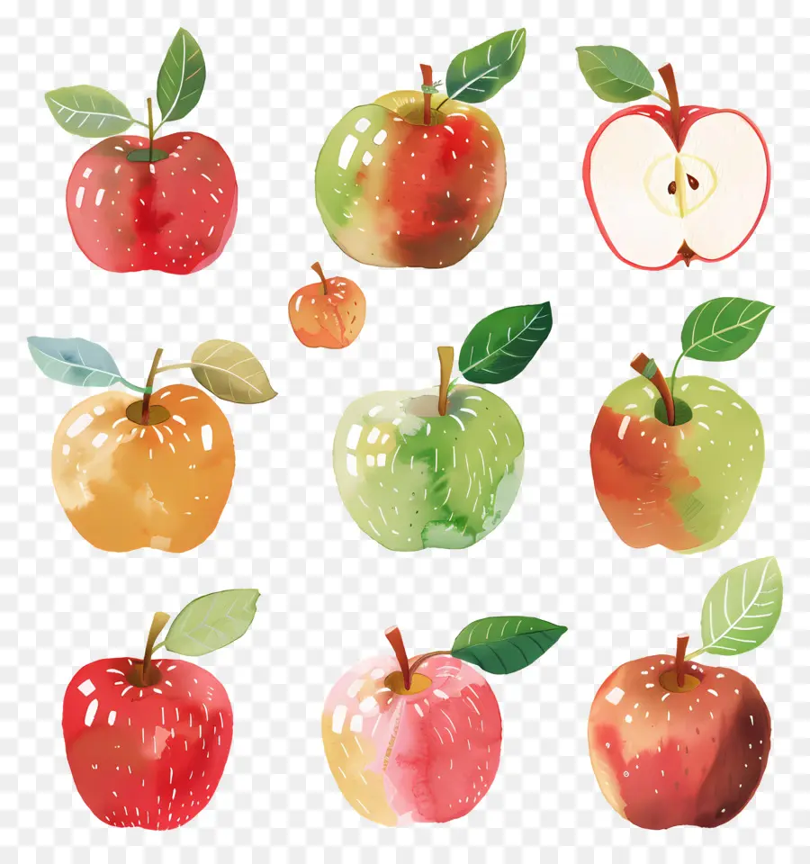 Apple，Variedades De Apple PNG