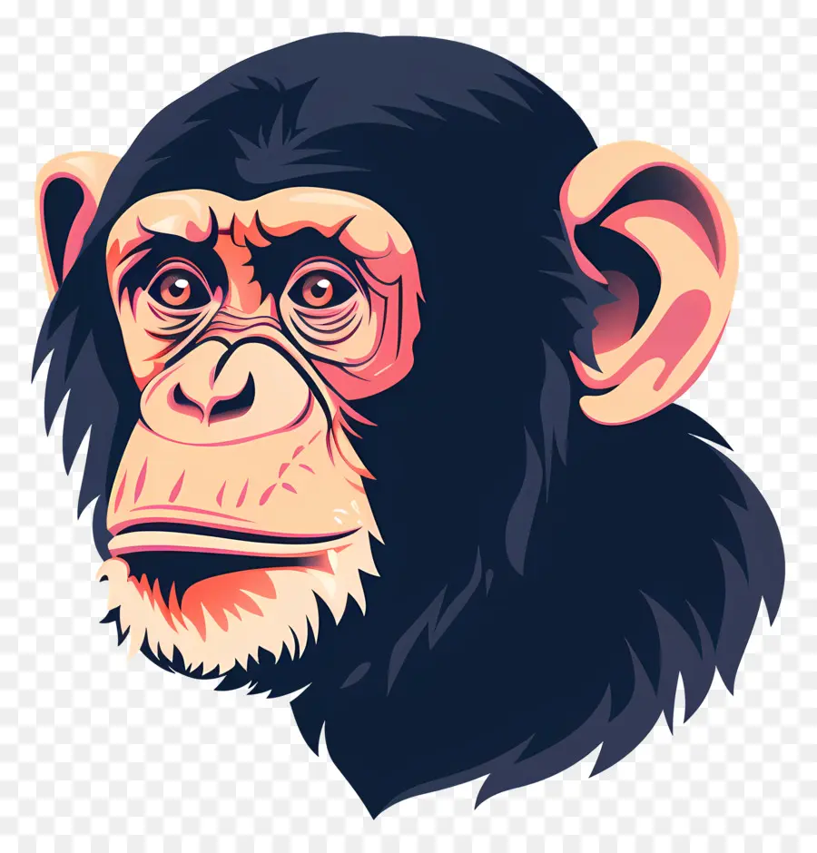 Cabeza De Mono，Chimpancé PNG