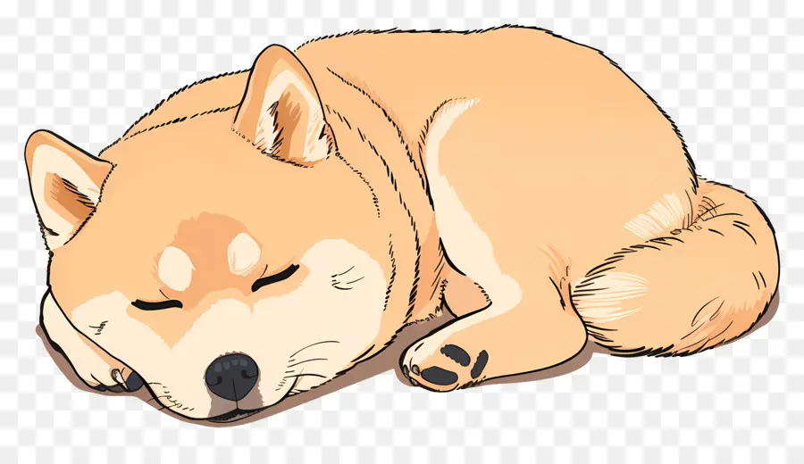 Lindo Perro，Shiba Inu PNG