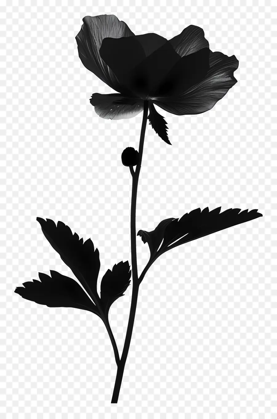 Silueta De Flor，Flor Negra PNG