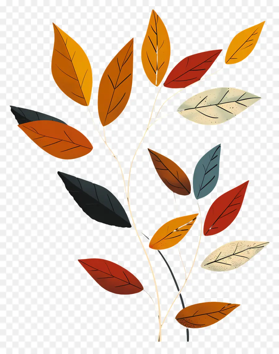 Hojas De Colores，Hojas De Otoño PNG