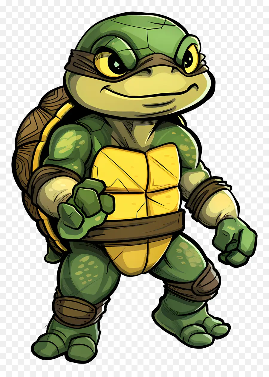 Tortuga De Dibujos Animados，Tortuga PNG