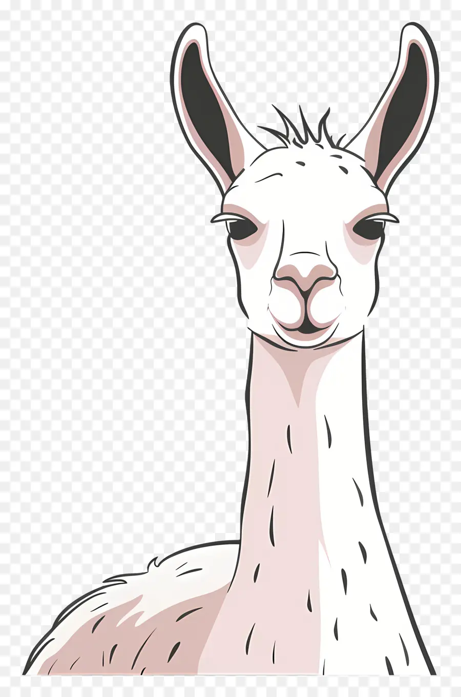 Llama De Dibujos Animados，Llama Blanca PNG