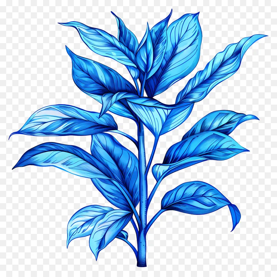 Azul De La Hoja，Planta Azul PNG