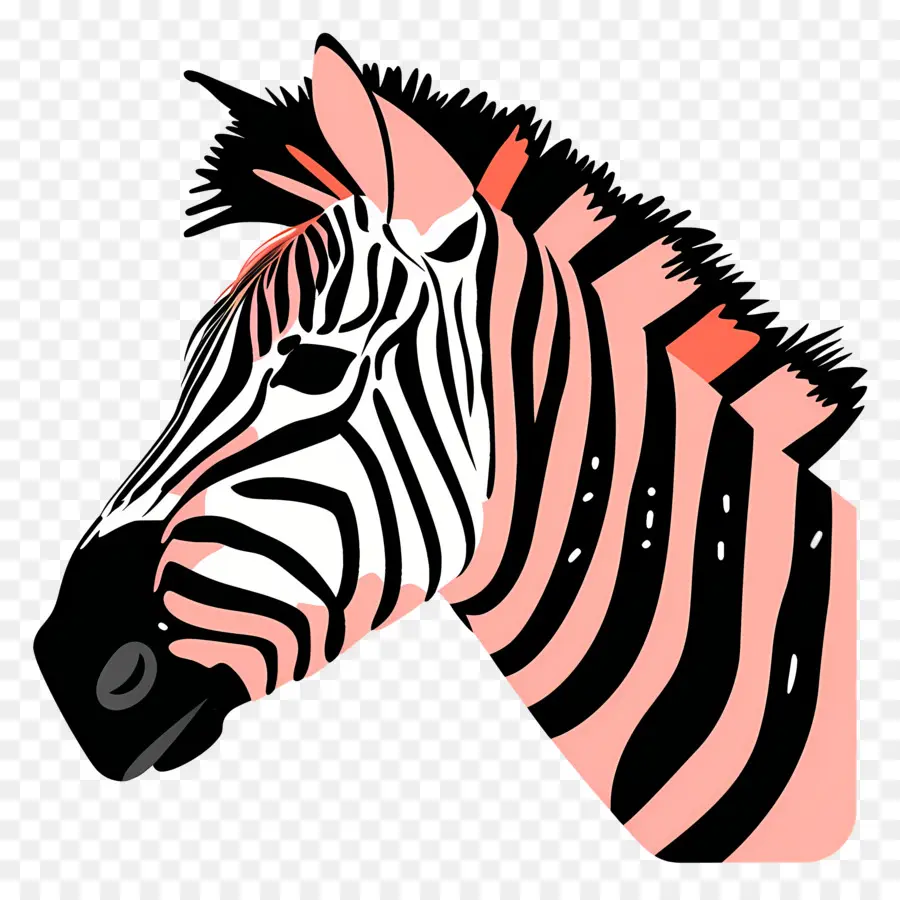 La Cabeza Zebra，Cebra Rosa PNG