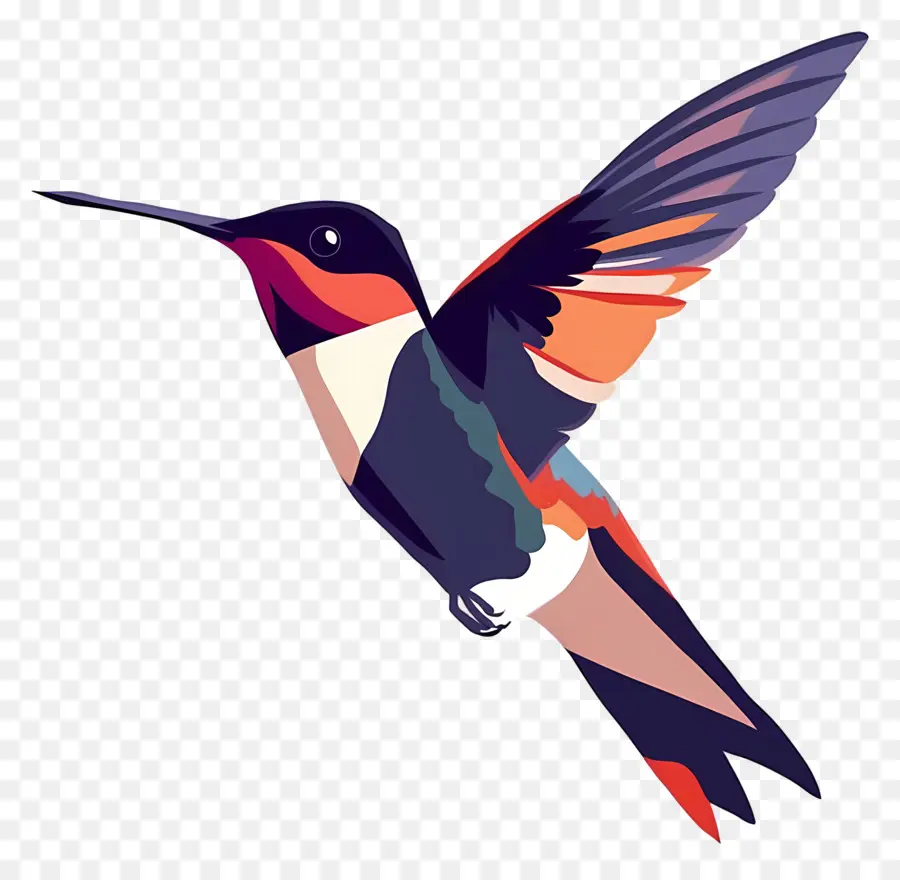 Ave De Dibujos Animados，Colibrí PNG