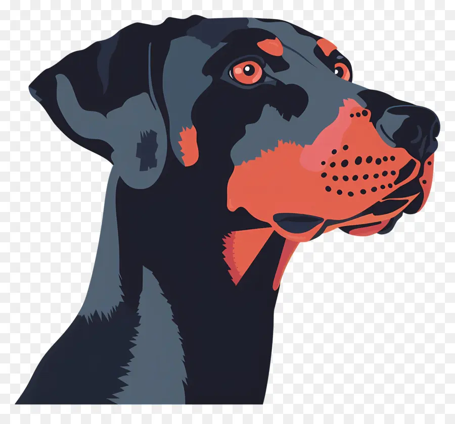 Perro Con La Cabeza，Perro PNG