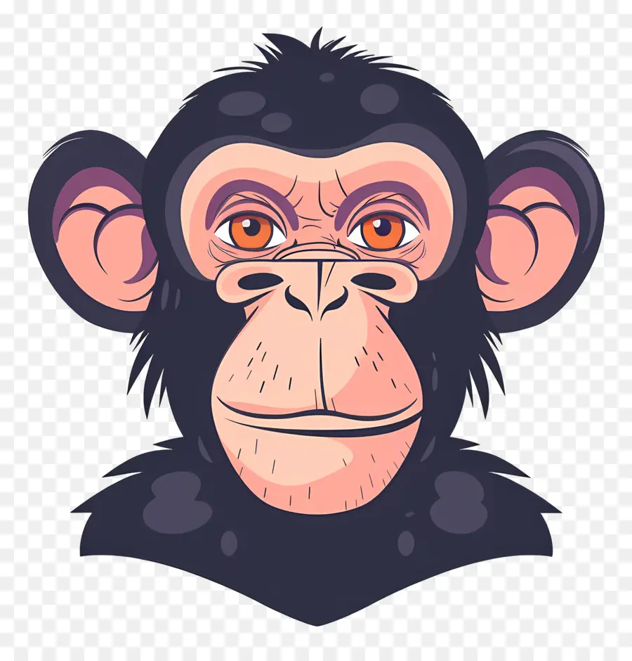 Cabeza De Mono，Chimpancé PNG
