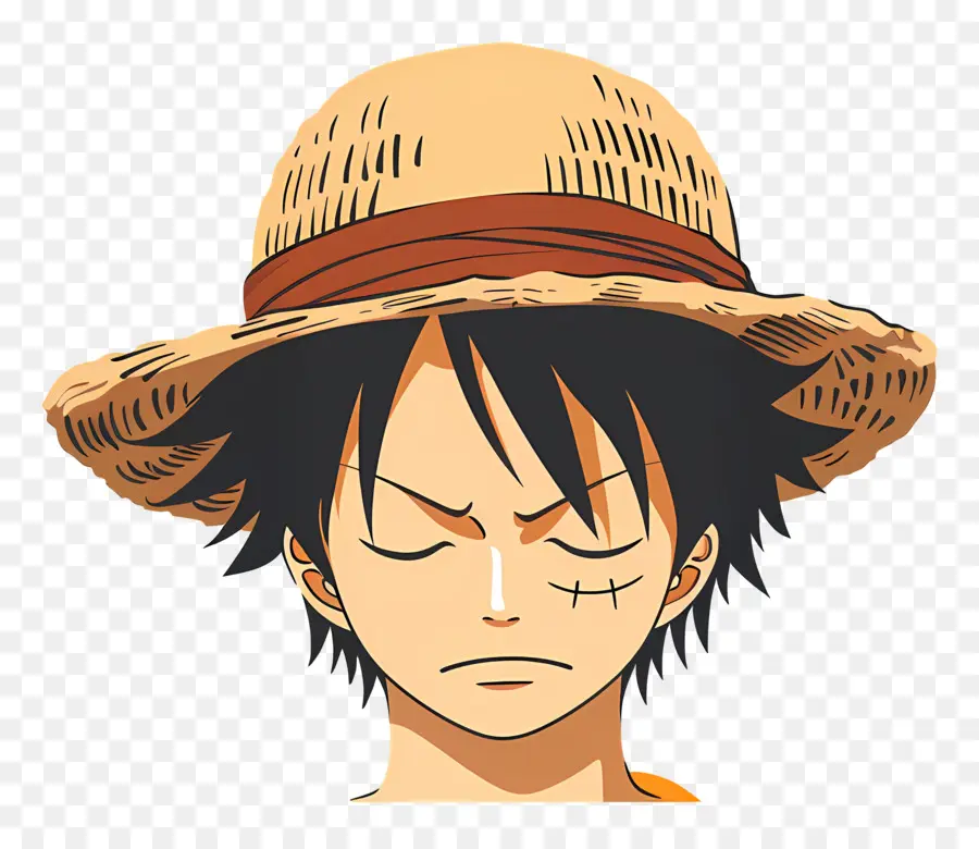 Cabeza Luffy，Personaje De Dibujos Animados PNG