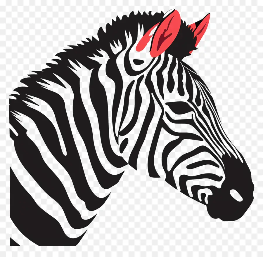 La Cabeza Zebra，Cebra PNG