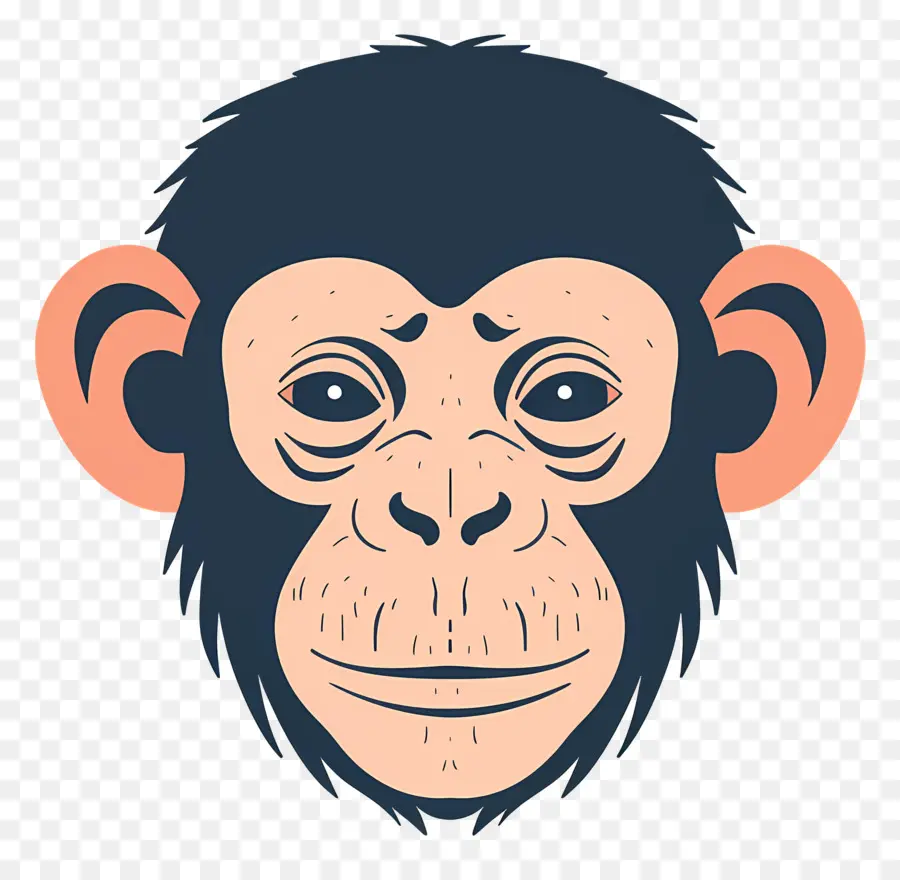 Cabeza De Mono，Chimpancé PNG