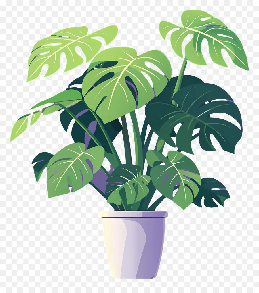 Planta De Monstruos，Planta PNG