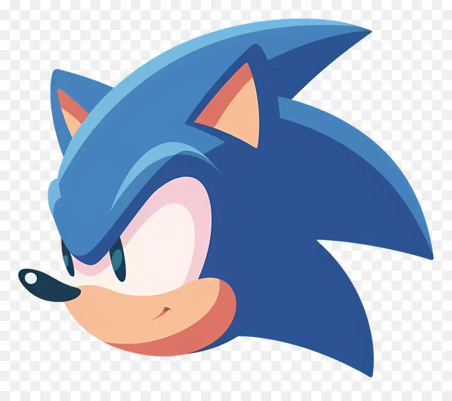 Sonic Cabeza，Animación Digital PNG