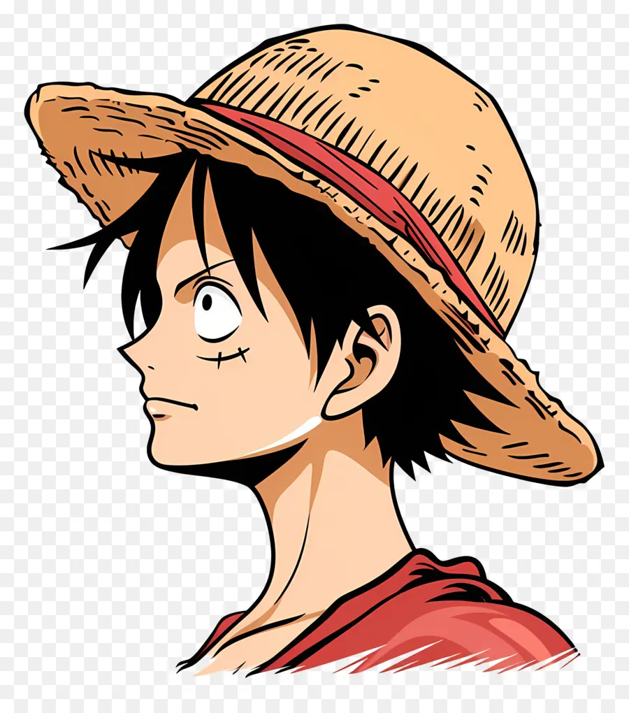 Cabeza De Luffy，Personaje Animado PNG