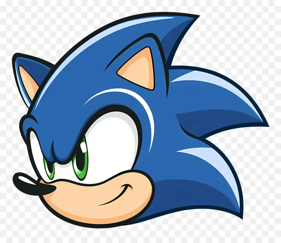 Sonic Cabeza，Personaje De Dibujos Animados PNG