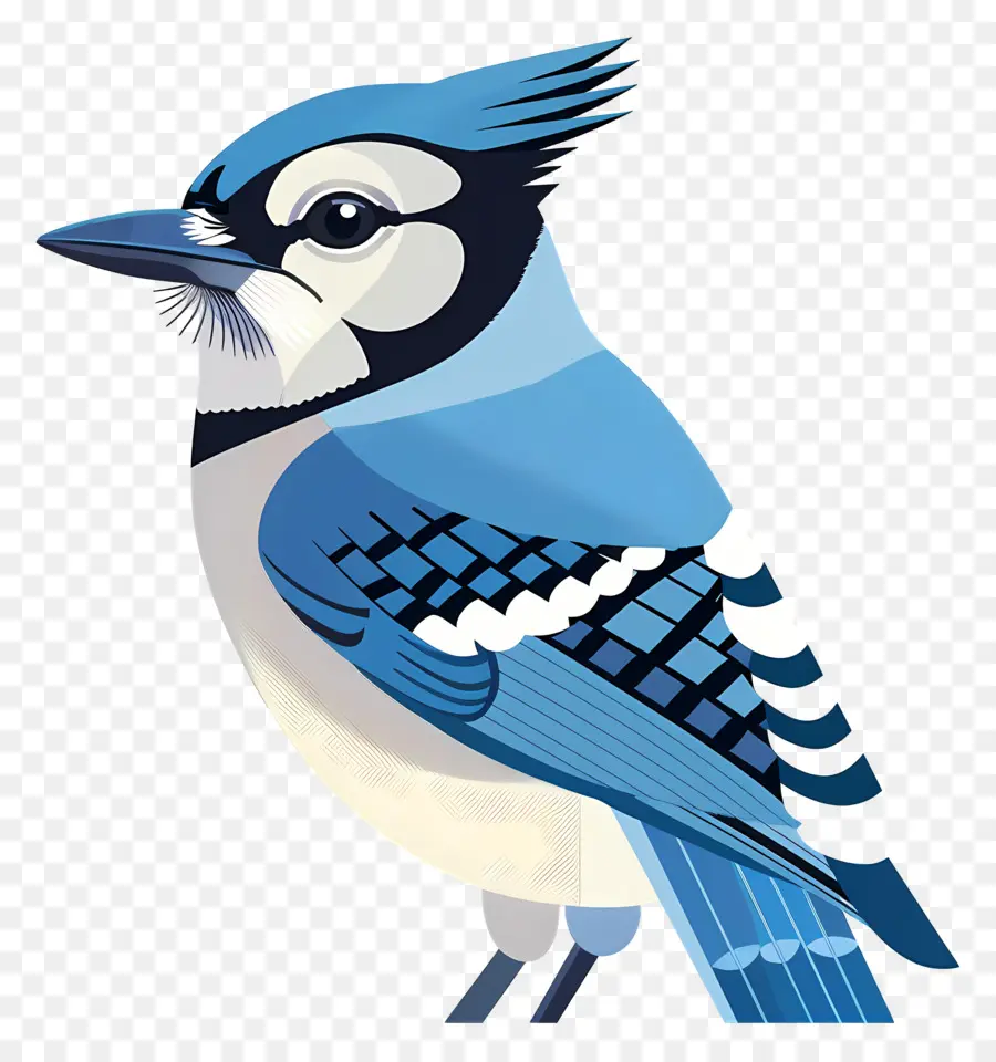 Arrendajo Azul，Pájaro Azul PNG