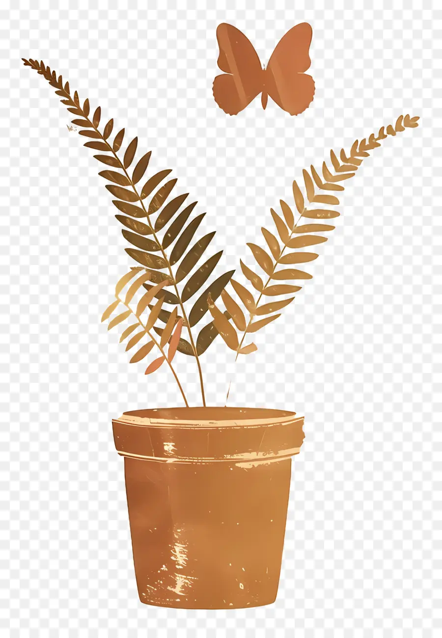 Helecho，Planta En Maceta PNG