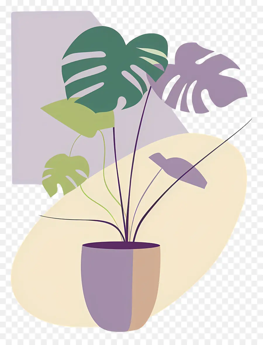 Planta Monstera，Planta En Maceta PNG