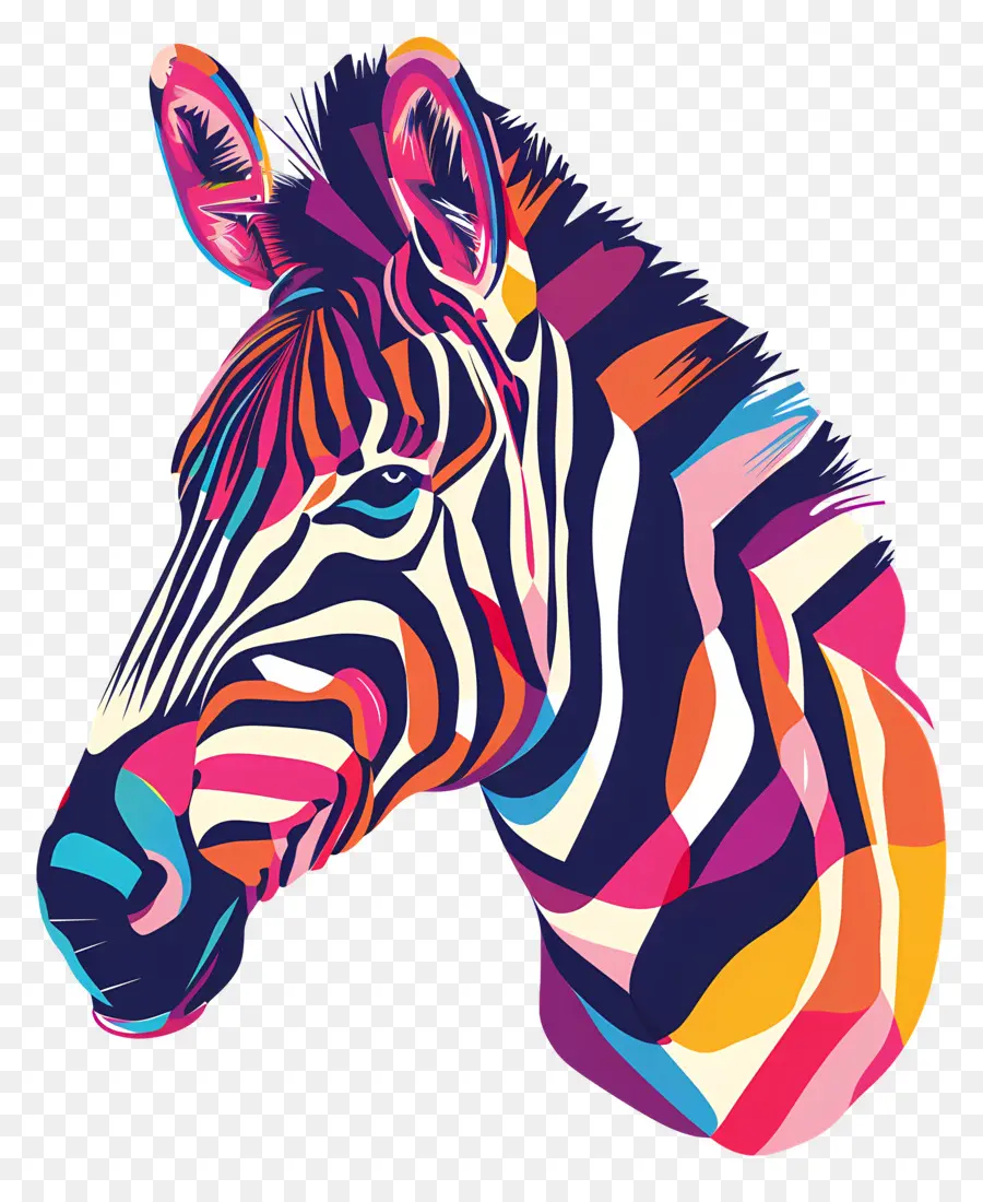 La Cabeza Zebra，Las Rayas De Cebra PNG