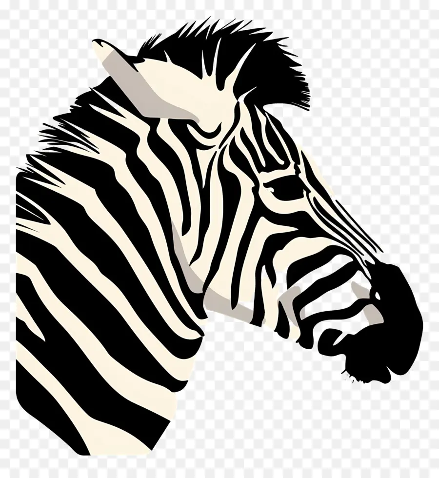 La Cabeza Zebra，Cebra PNG