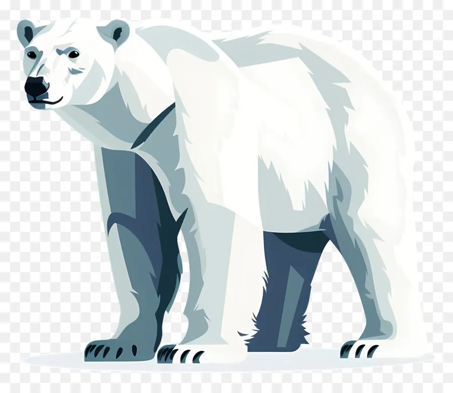 Oso Polar，Animal ártico PNG