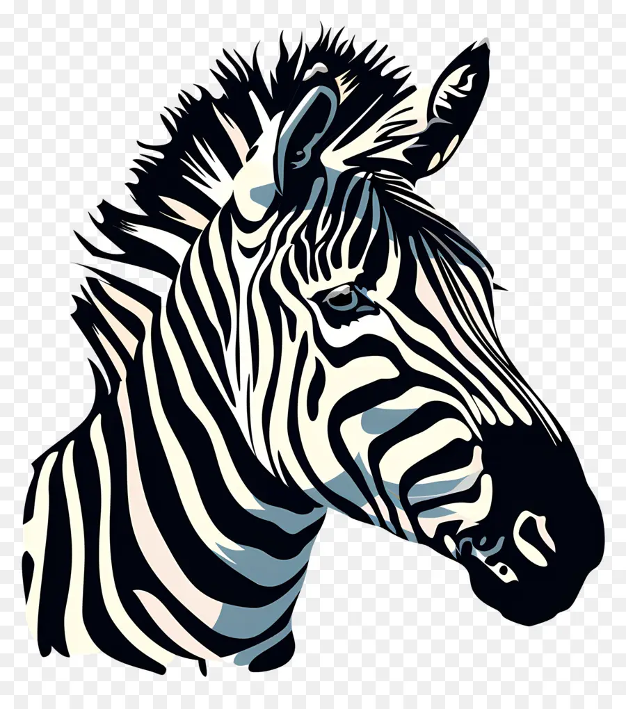 La Cabeza Zebra，Cebra PNG