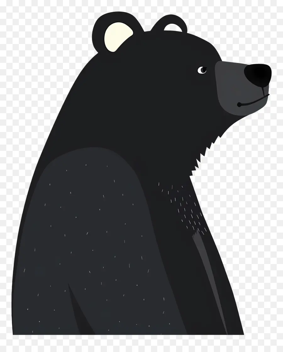 Oso，El Oso Negro PNG