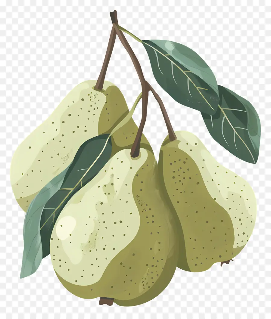 Peras，La Fruta PNG