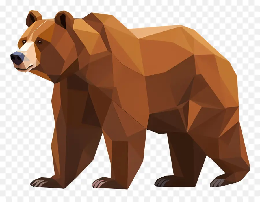 Oso，Oso Pardo PNG