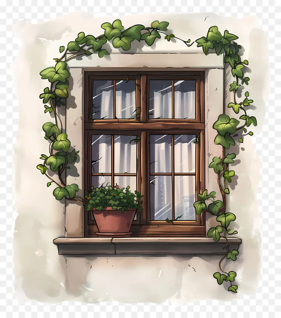 Ventana，Ventana Con Hiedra PNG