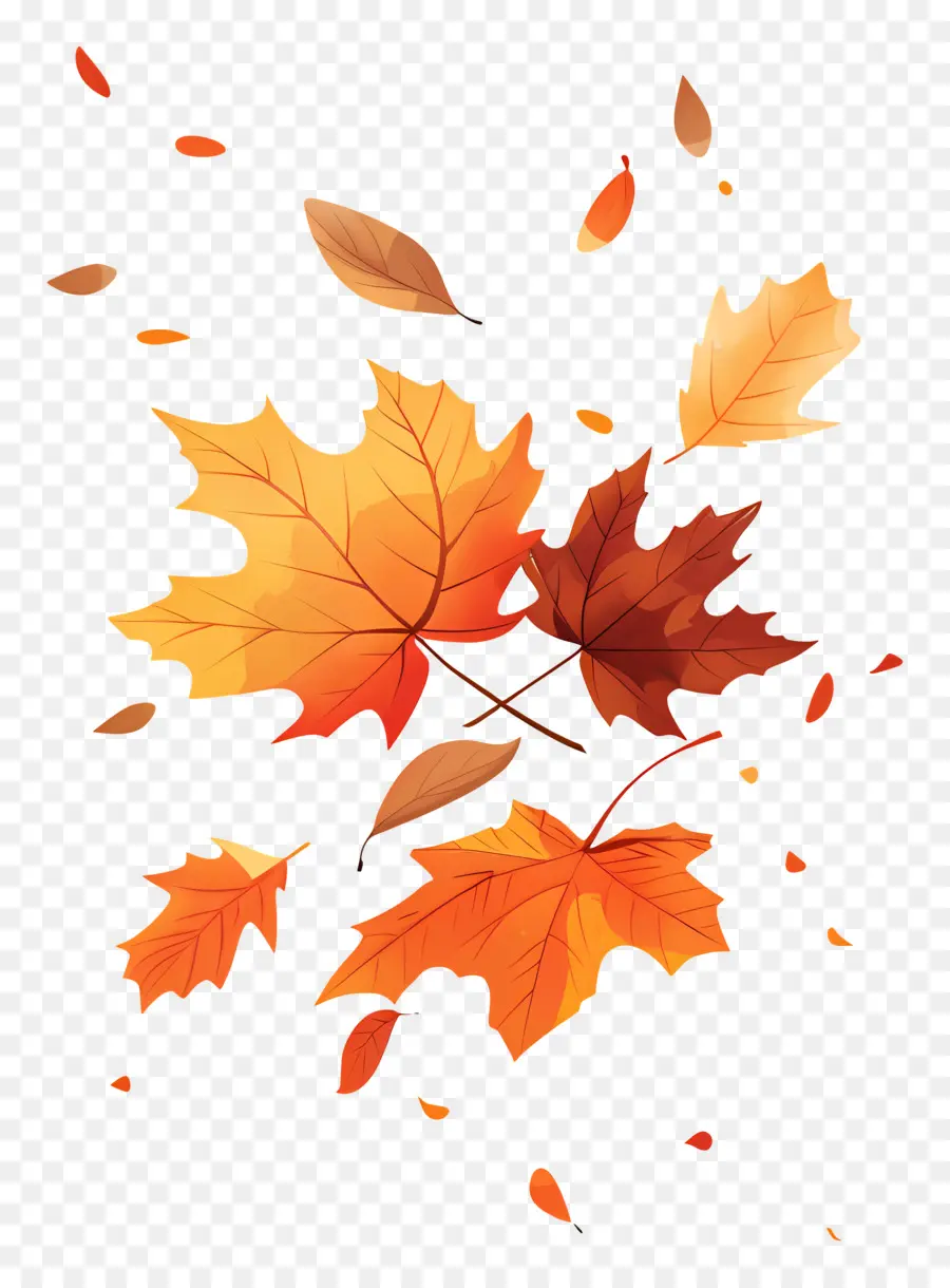 Hojas De Otoño，Decoraciones De Otoño PNG