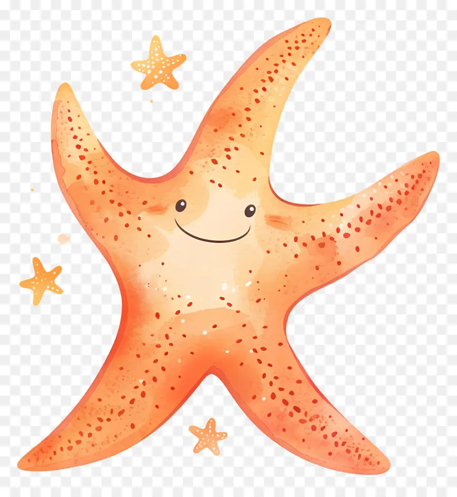 Estrella De Mar，De Dibujos Animados De Estrellas De Mar PNG