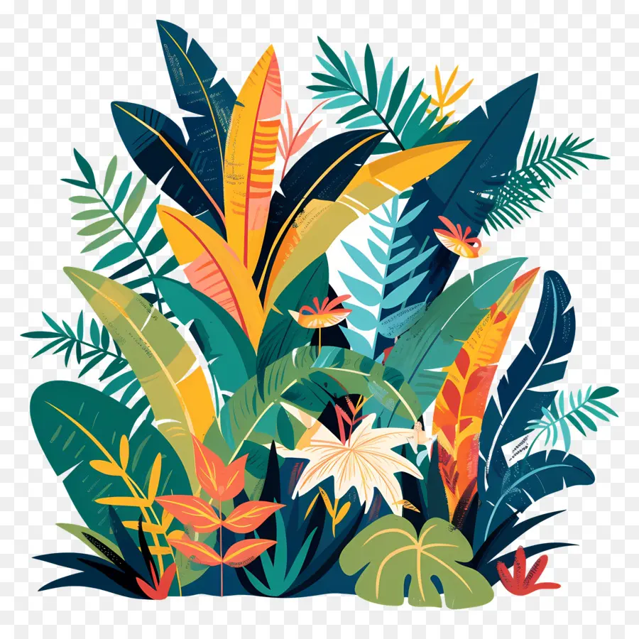 Selva，Plantas Coloridas PNG