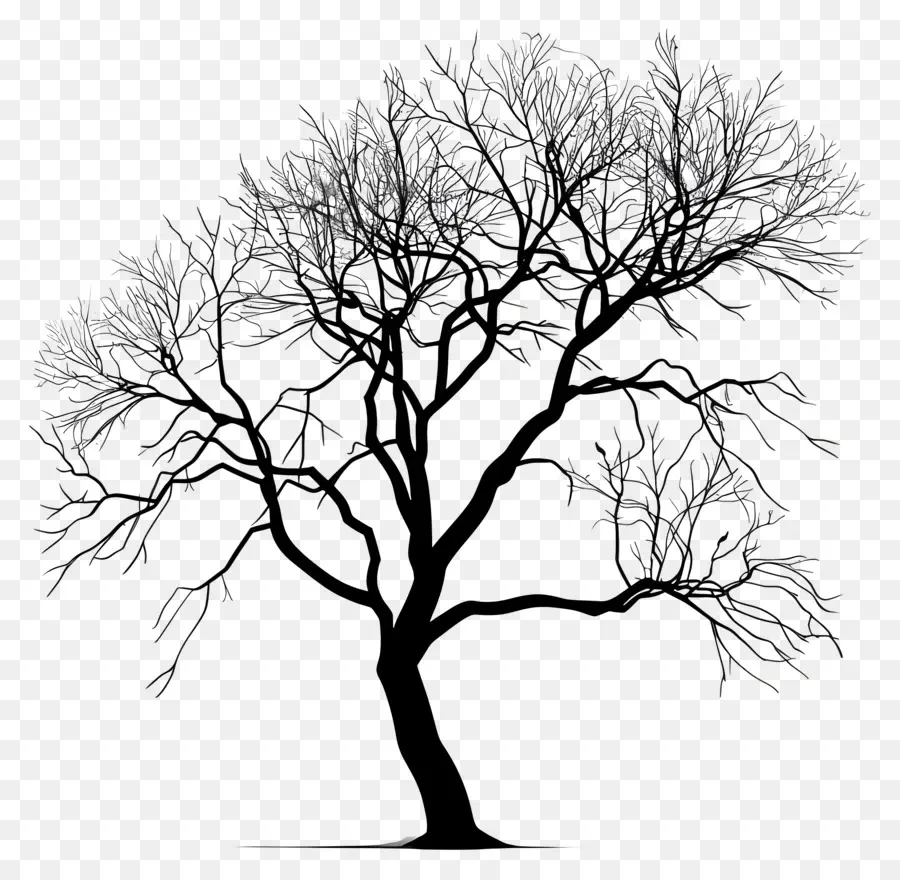 Árbol，árbol Negro PNG