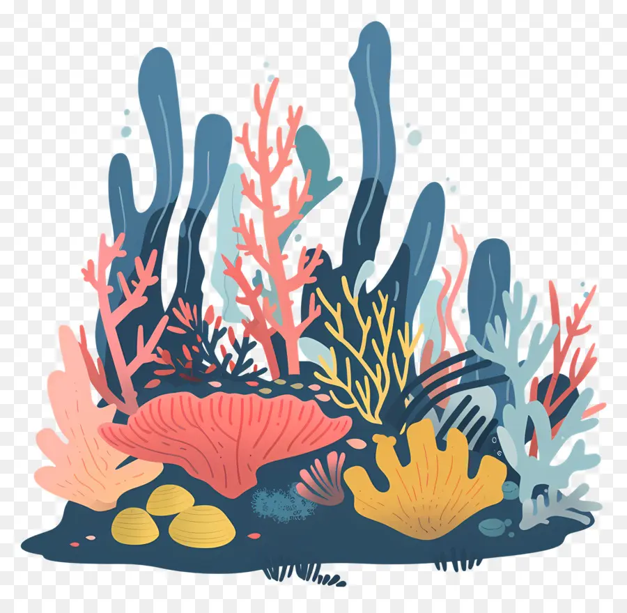 Arrecifes，Arrecife De Coral PNG
