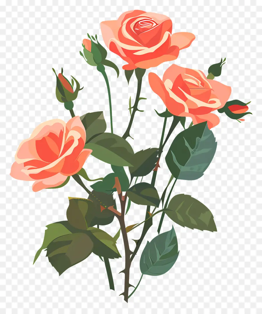 Rose Bouquet，Las Rosas PNG