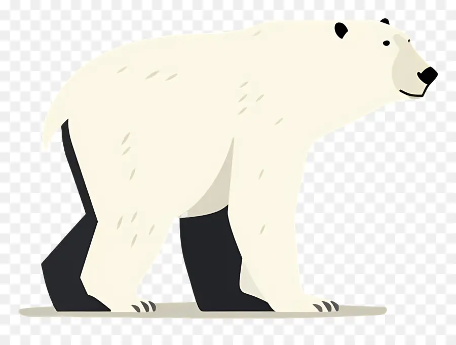 Oso Polar，La Vida Silvestre PNG