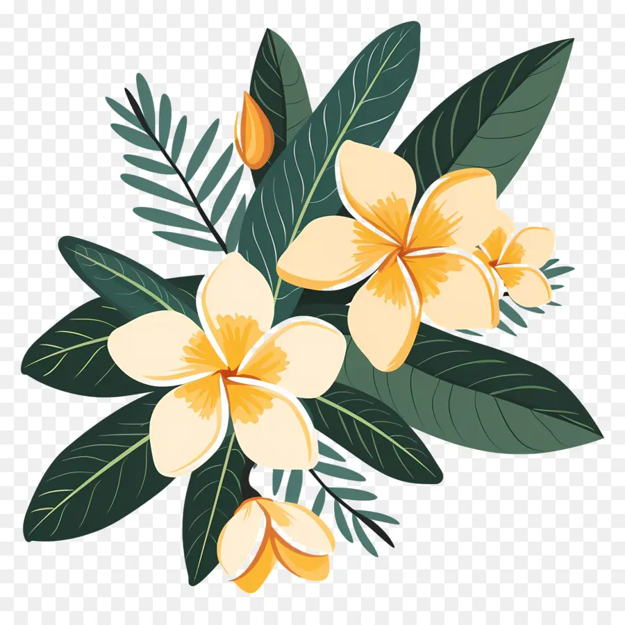 Plumeria，Flores Amarillas PNG