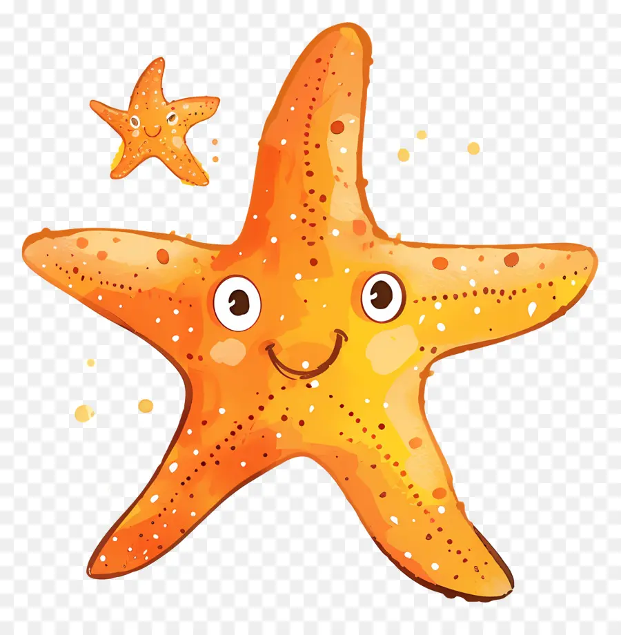 Estrella De Mar，Manchas Blancas PNG