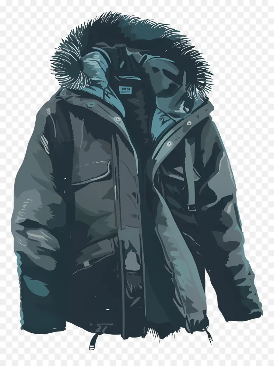 Abrigo De Invierno，Chaqueta De Invierno PNG