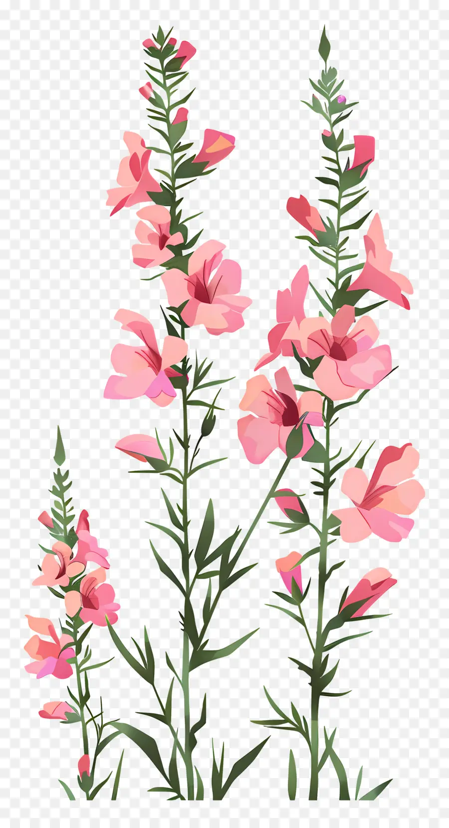 Cabezas De Dragón，Flores De Color Rosa PNG