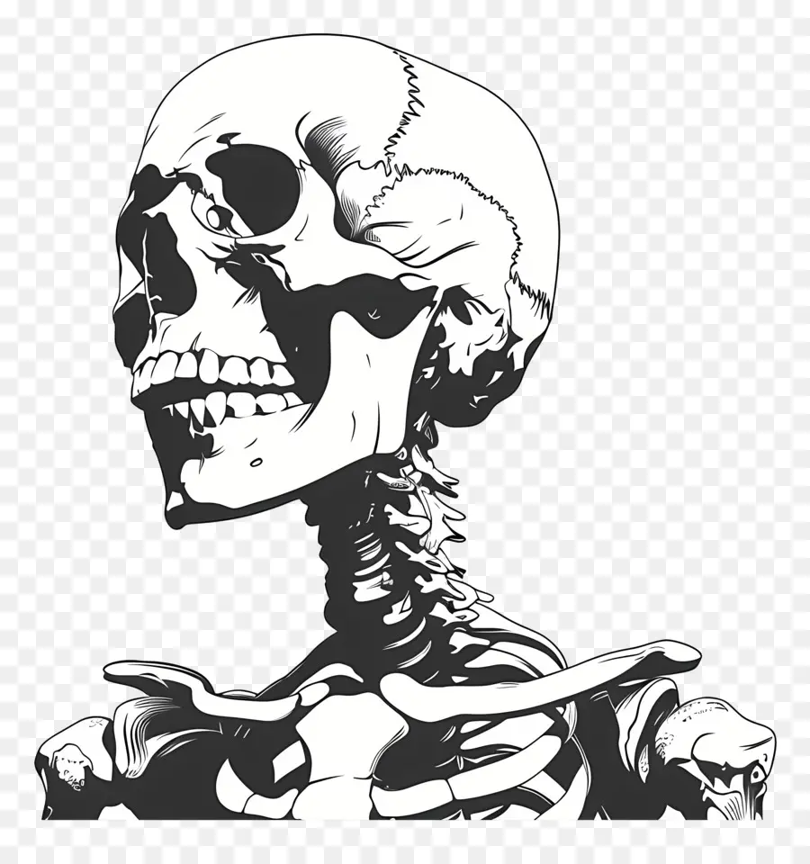 Esqueleto，Horror PNG