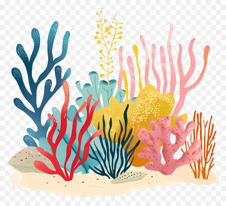 Los Arrecifes De Coral，Arrecife De Coral PNG