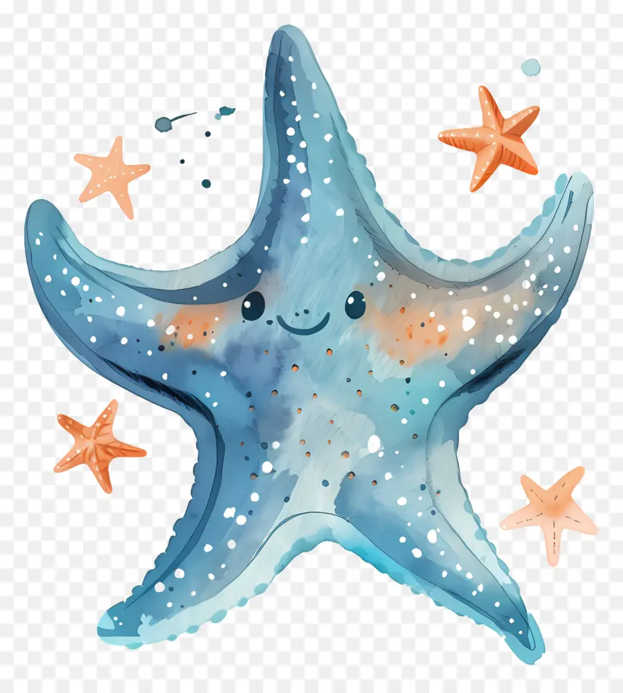 Estrella De Mar，Lindo Estrellas De Mar PNG