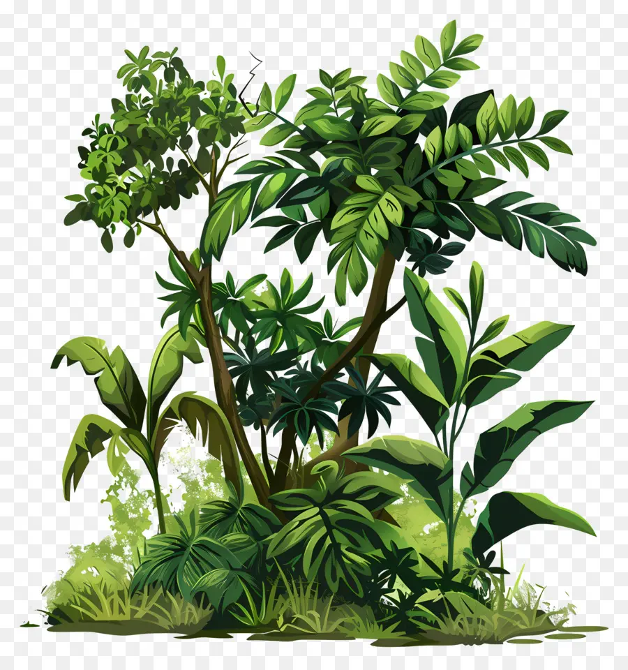 Arbusto Verde，Plantas Tropicales PNG