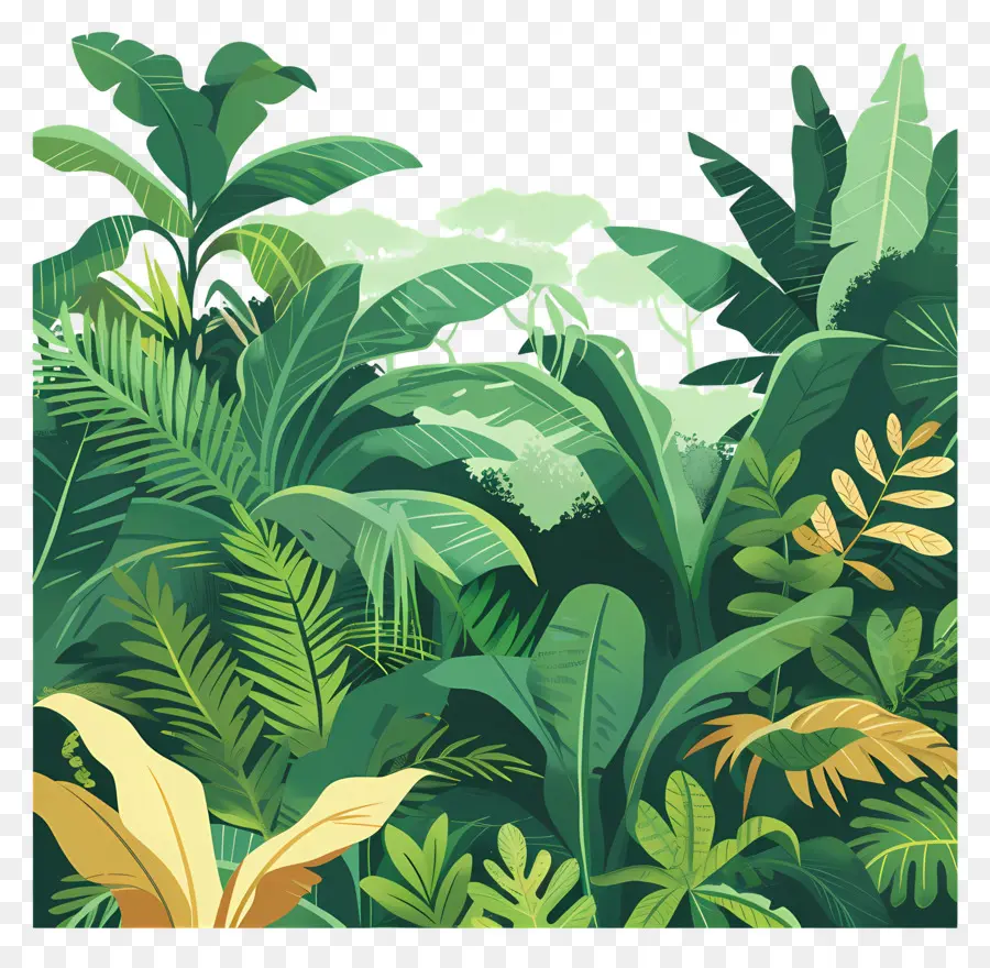 Selva，Tropical PNG